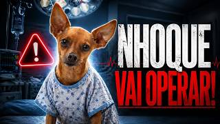 COMUNICADO IMPORTANTE -  VAMOS ORAR PARA QUE O NHOQUE SE RECUPERE LOGO!