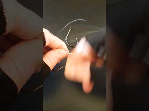SNELL KNOT MONO LEADER TO CIRCLE HOOKS TECHNIQUE.#trending#viral#fishing#shorts#youtube#youtubeshort