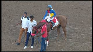 LANCE At the Track Oct  15, 2026