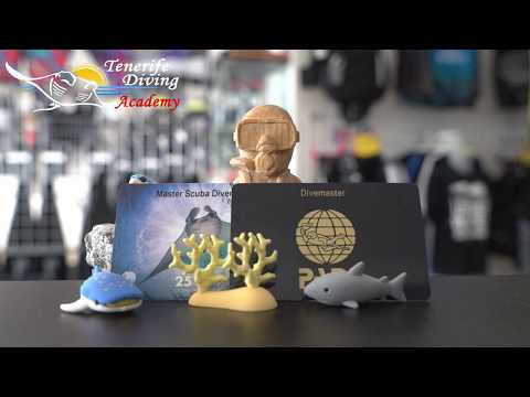 PADI Divemaster or PADI Master Scuba Diver... whats the difference