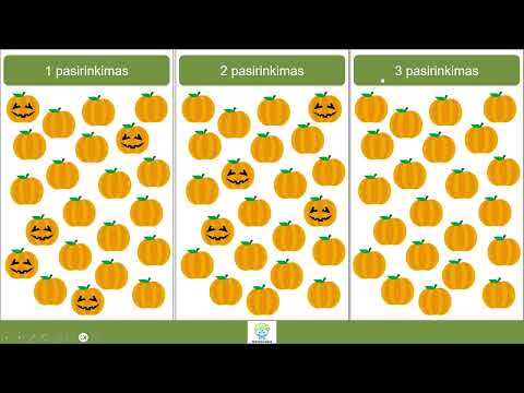 Momentinis įsivertinimas (Nr. 212)