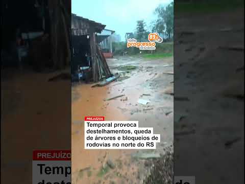 🌪️ Temporal provoca destruição no interior de Vista Alegre (RS) #shorts