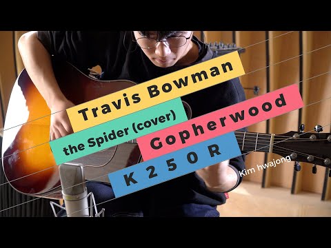 Travis Bowman - The spider (김화종 커버) 고퍼우드 K250R