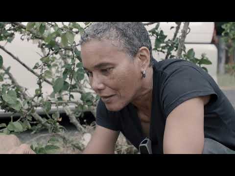 download lagu mp3 mp4 Elspeth Duncan, download lagu Elspeth Duncan gratis, unduh video klip Elspeth Duncan