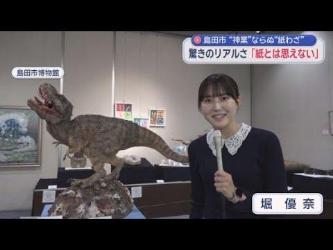 YouTube Video 「もこもこした毛を紙で再現したカラフルな羊」静岡・島田市の町おこしイベント「紙わざ大賞」の企画展が開催中