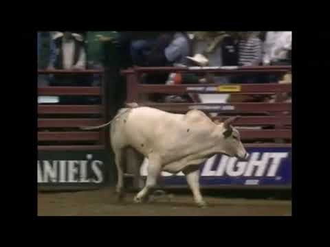Straight Jacket bucks Michael Gaffney - 00 PBR Albuquerque