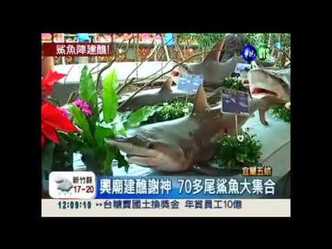 興廟建醮拜拜 鯊魚大集合謝神