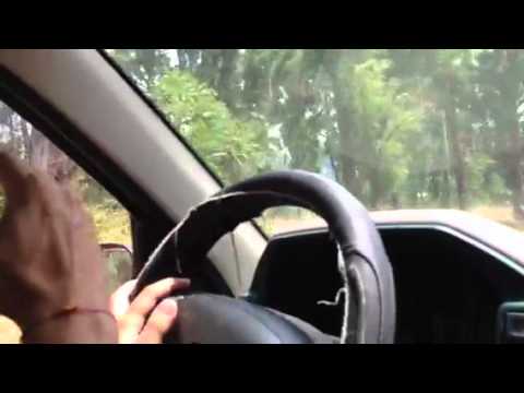 Incendio nel bosco della bellia