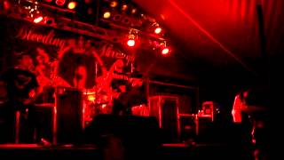 Bleeding Through - For Love and Failing