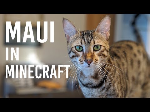 Maui In Minecraft