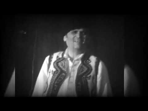 voci uitate | Dumitru Bălășoiu - Cine trece peste râu