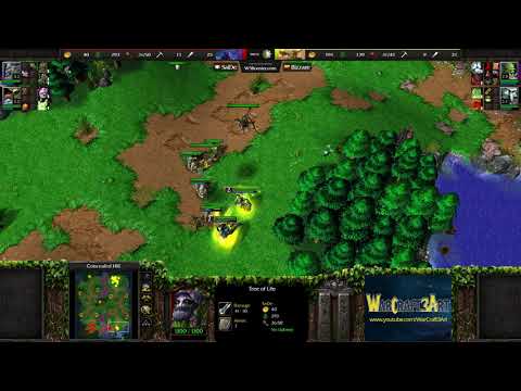 SaiDe(NE) vs Bizzare(ORC) - Warcraft 3: Classic - RN5424