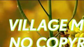 Download lagu Village Music No Copyright Video Features Nature Scenes mp3
