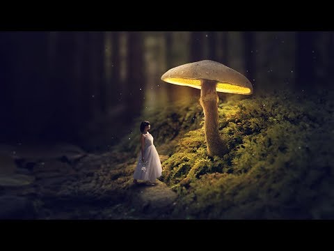 Glowing Mushroom - Photoshop Fantasy Manipulation Tutorial Video