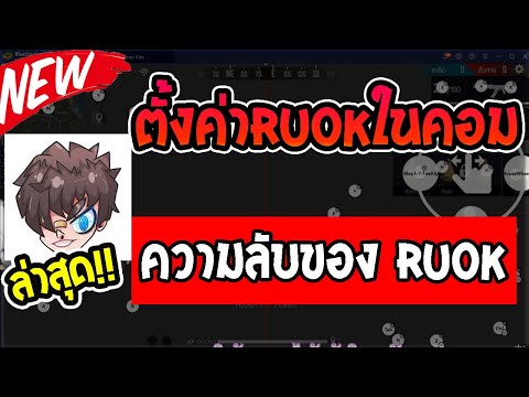 ฟีฟาย ruok