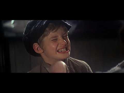 Oliver 2  - Young boy for sale