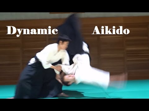 Dynamic and Young Aikido Practice