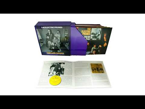 Electric Prunes - Then Came The Dawn