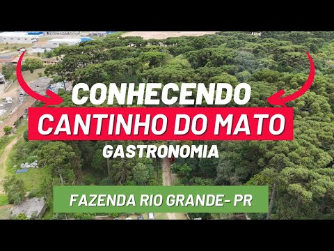 VOCÊ PRECISA CONHECER ESTE REFÚGIO NO PARANÁ! CANTINHO DO MATO | FAZENDA RIO GRANDE - PR 