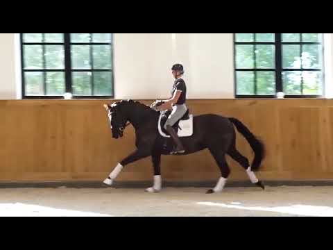 Fabrosio v. Fürst Fabrice