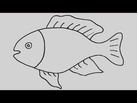 How to draw a fish. Animation and entertainment for kids