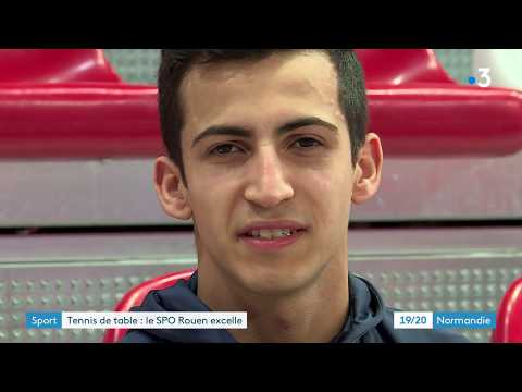 SPO Rouen réussit le pari de la jeunesse