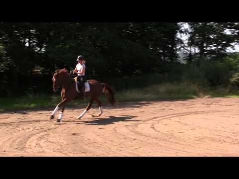 Benetton Dream x Rohdiamant