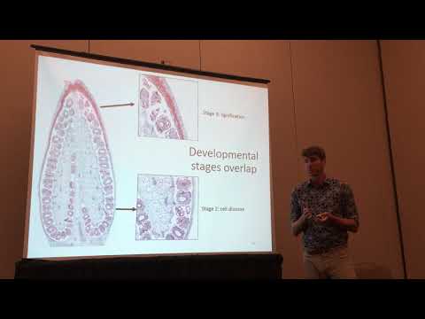 Alex Rajewski: Identification of Conserved Regulatory Modules in Dry and Fleshy Fruit Development Video