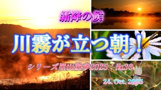 Download the video "里山散歩2025　川霧が立つ里山！"