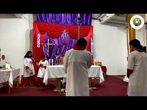 VIA CRUCIS PARROQUIAL (SEGUNDA PARTE) DESDE ERANDIQUE LEMPIRA, HONDURAS