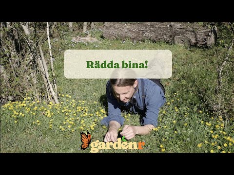 Rädda Bina! - Trädgårdshacks med GardenR