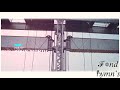 Erode Day WhatsApp Status 30 Secs Periyar Fond Hymn S