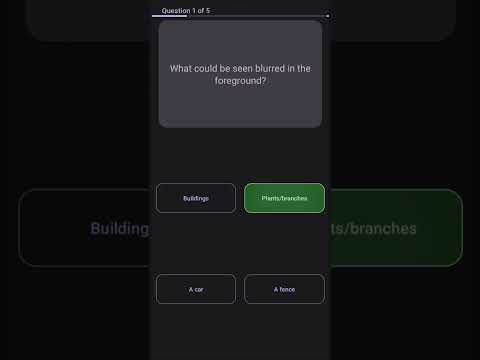 The Observation Game video thumbnail