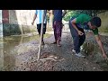 Daring Rescue of Checkered Keelback Snake | Jaldhora Snake Rescue Chouddagram, Comilla