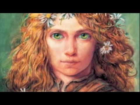 Heralds, Harpers, and Havoc: Healer's  Dilemma - Mercedes Lackey