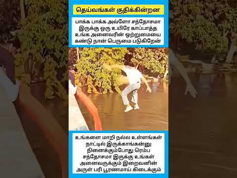 தெய்வங்கள் குதிக்கின்றன...... #shorts