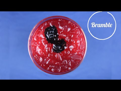 Bramble - Copperfield Cocktail Tutorials