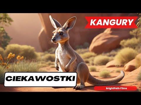 KANGURY. Ciekawostki o Kangurach. Film dla dzieci. #ciekawostki #BrightPathFilms