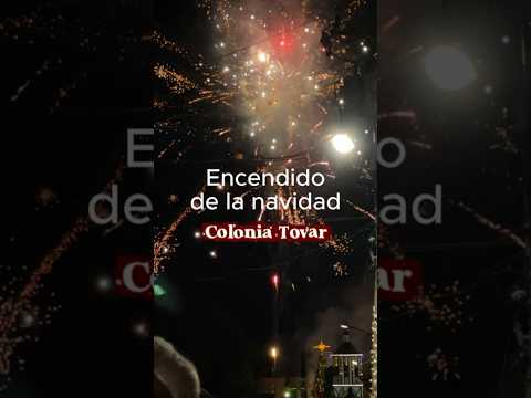 Encendido de la navidad Colonia Tovar 2025