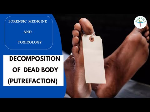 DECOMPOSITION OF DEAD BODY ||  PUTREFACTION  ||  FORENSIC MEDICINE AND TOXICOLOGY  ||  MBBS ||  BAMS