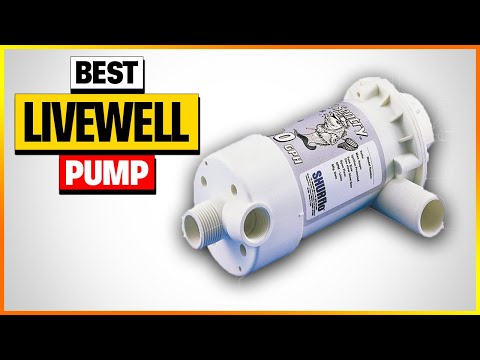 Best Livewell Pumps in 2026 [Top 6 Picks Reviewed]