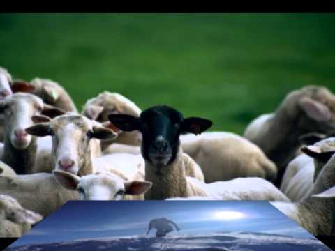 O Zot, Zoti ynë, sa i mrekullueshëm është Emri yt (psalmi 8)