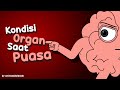 Kondisi Organ Saat Puasa Animasi Organ Tubuh