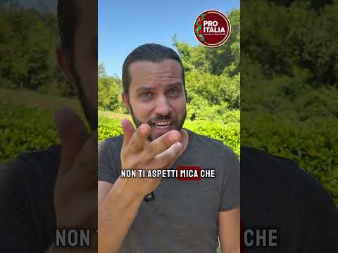 Abderrahim Fakir è il George Floyd di Bologna?
