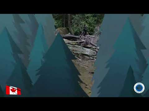 Top Bridge Regional Park Parksville