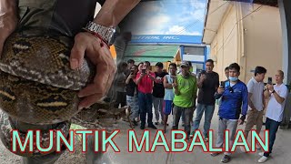 NAPAKA LAKING SAWA AT MGA COBRA SA TAMBAK NANG SKWELAHAN