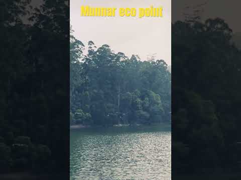 #avaneesh #echo #point #munnar #kerala #india #tamil #love #travel #visit #shorts #hindi ##youtube