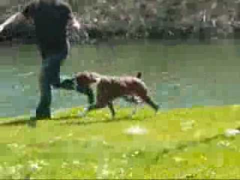 CH Valeska Big Wraps