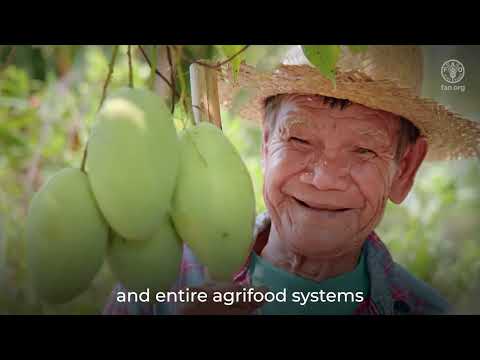 Let’s all celebrate the World Bee Day