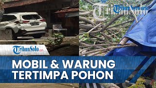 Pohon Tumbang di Klaten Timpa Daihatsu Terios dan Warung HIK, Beruntung Tak Ada Korban Jiwa
